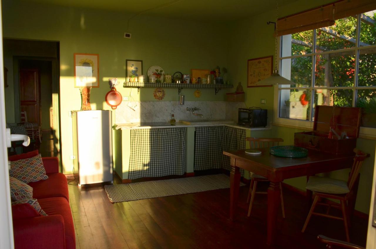 Casa Magnolia Apartment Terricciola ภายนอก รูปภาพ