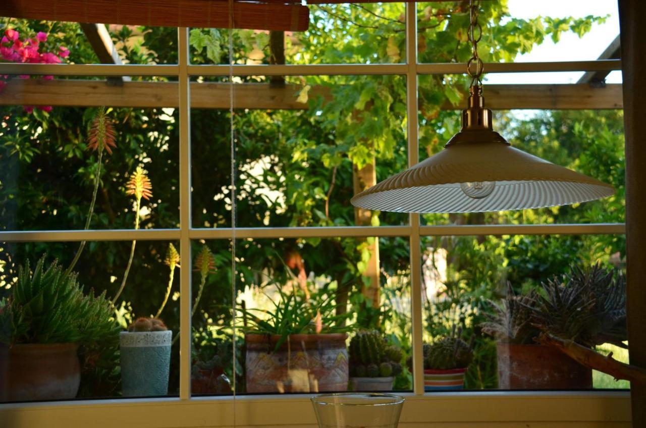 Casa Magnolia Apartment Terricciola ภายนอก รูปภาพ