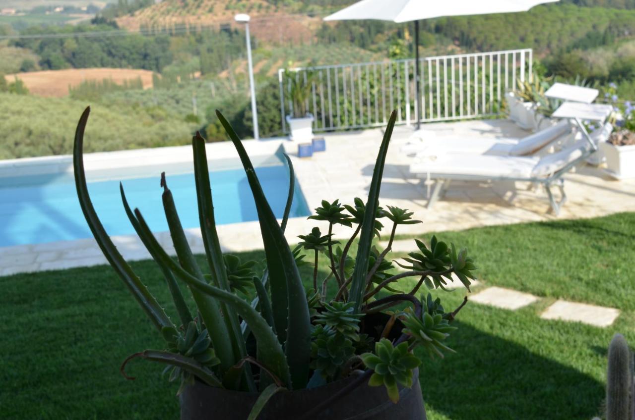 Casa Magnolia Apartment Terricciola ภายนอก รูปภาพ