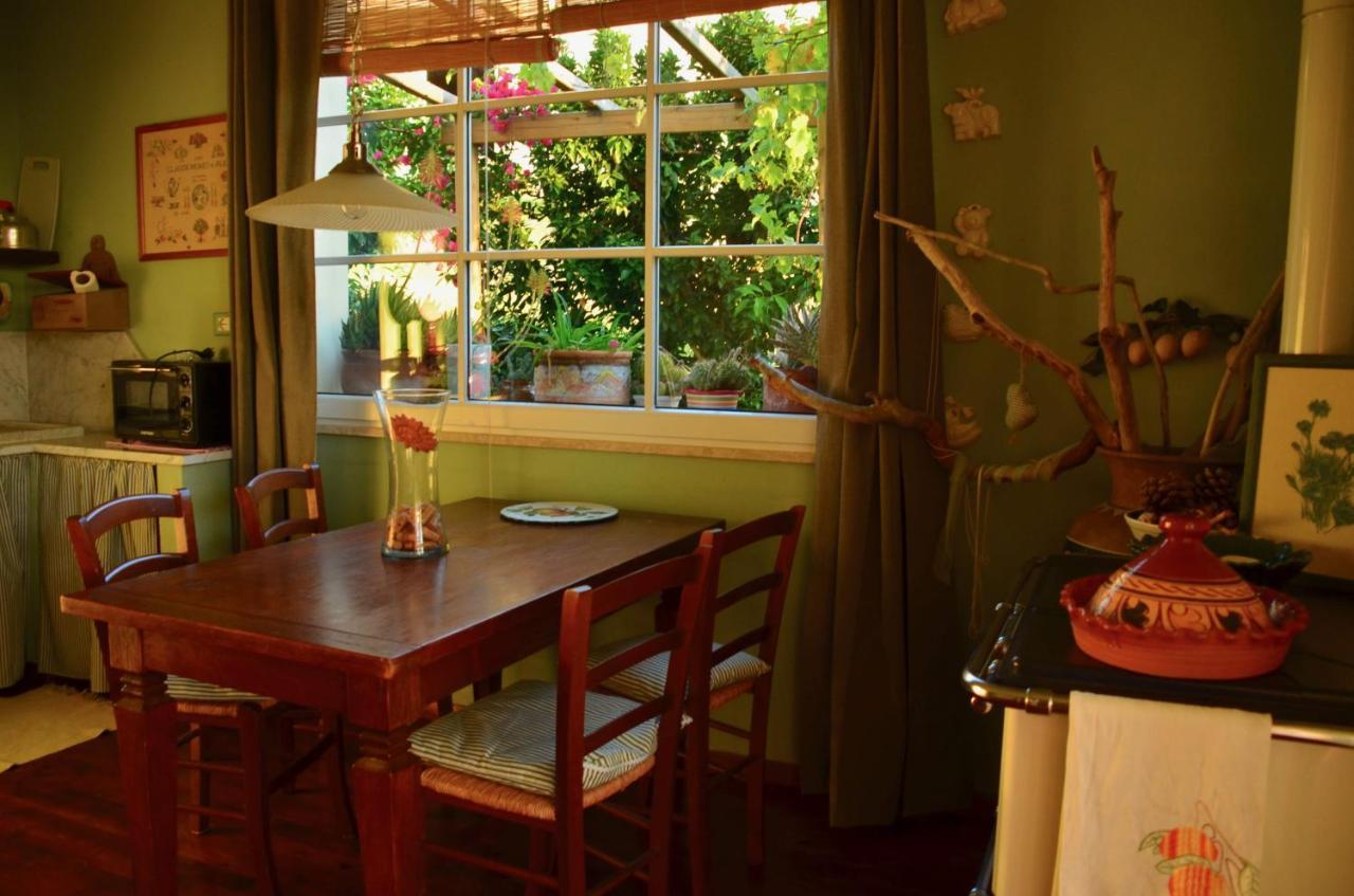 Casa Magnolia Apartment Terricciola ภายนอก รูปภาพ